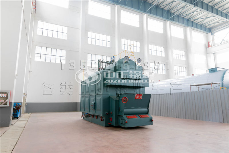 好成食品12噸DZL系列生物質(zhì)蒸汽鍋爐項(xiàng)目-食品行業(yè)案例