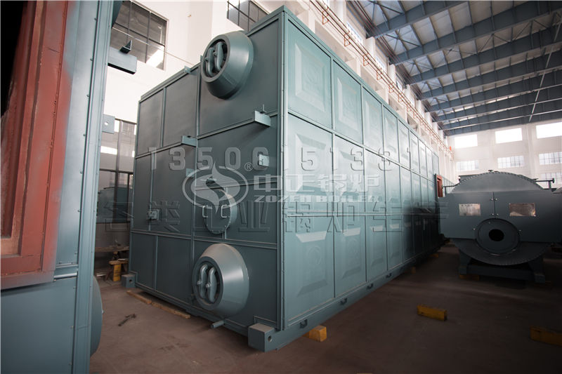 10噸WNS冷凝式燃?xì)庹羝仩t項(xiàng)目（金紫陽(yáng)食品）-食品行業(yè)案例